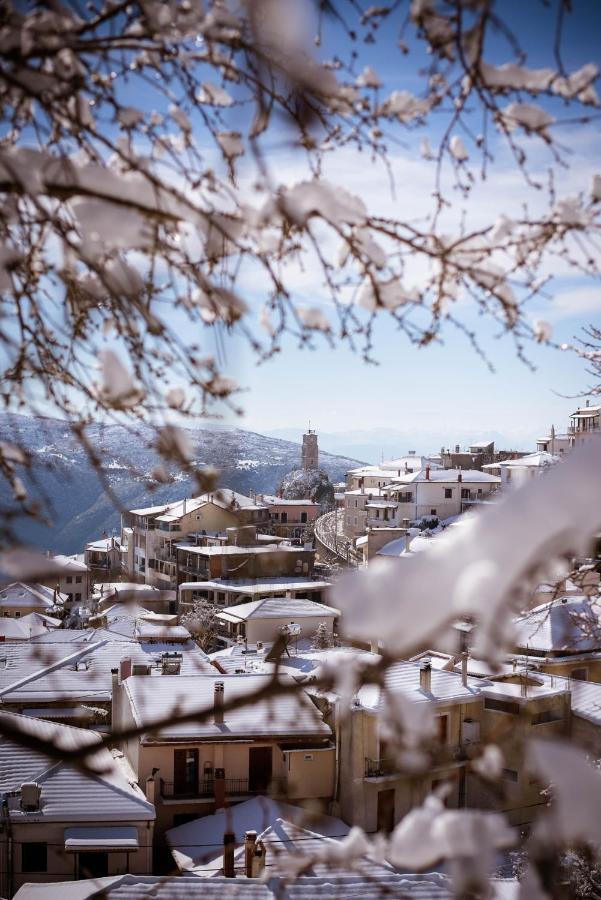 Paeonia Arachova Hotel Kültér fotó