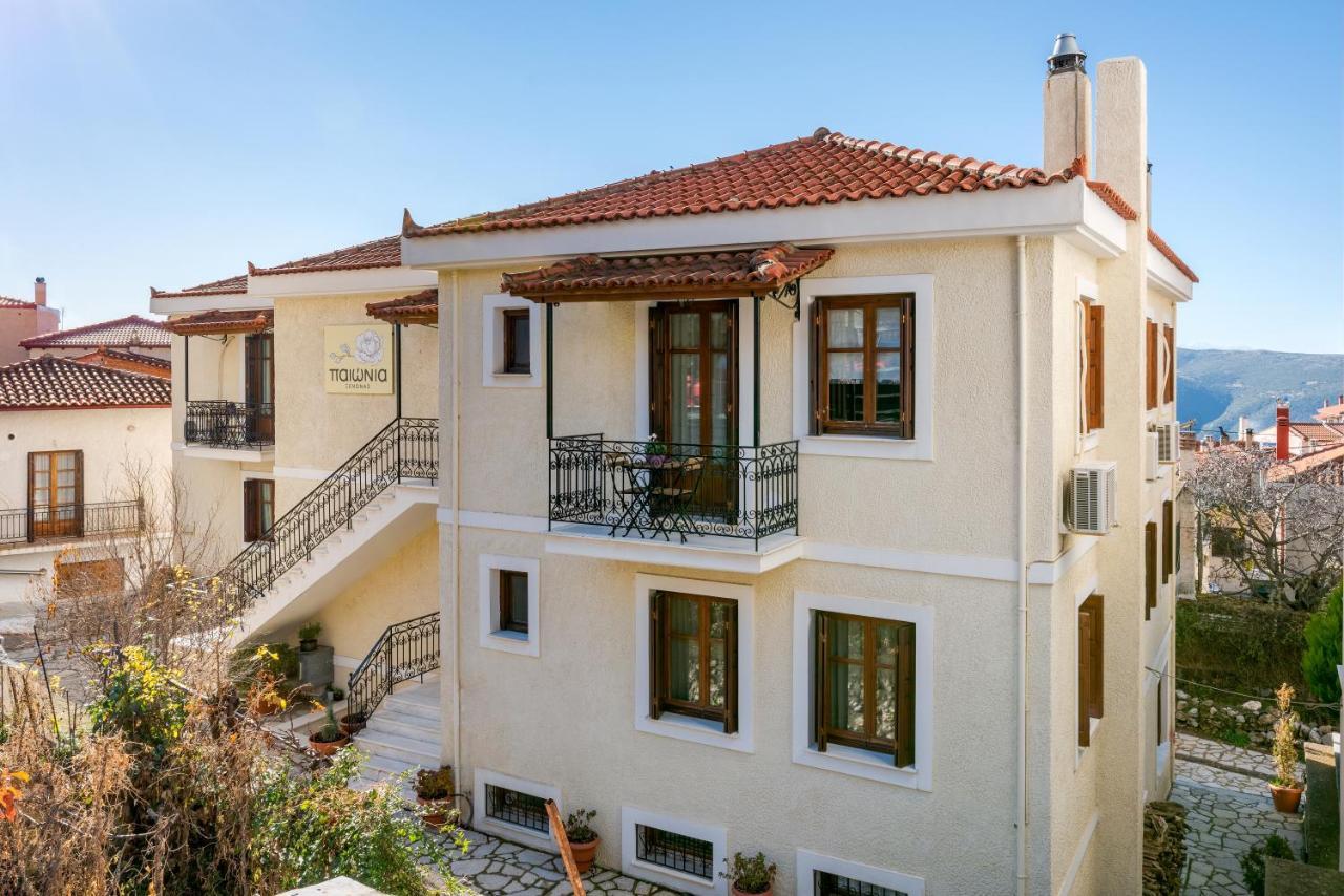 Paeonia Arachova Hotel Kültér fotó