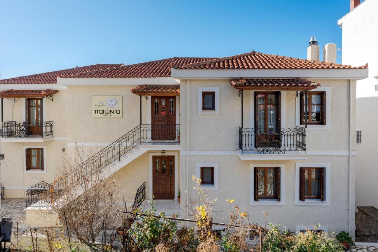 Paeonia Arachova Hotel Kültér fotó